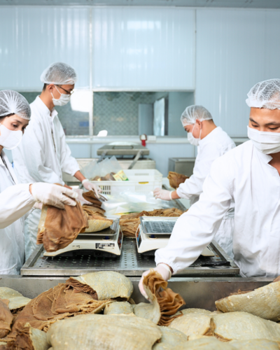 Sơ chế dạ sách bò